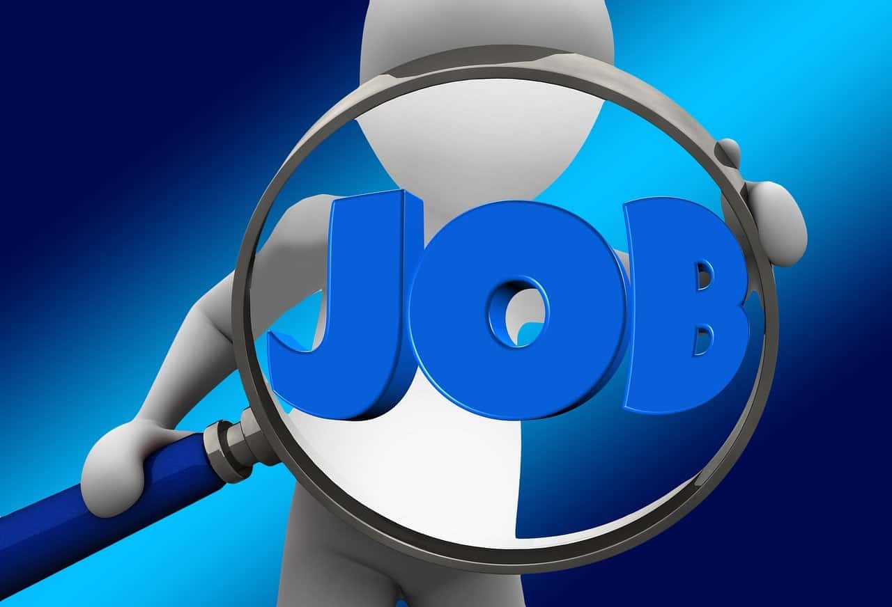 20 Highest-Paying Jobs in the World and What to Study.